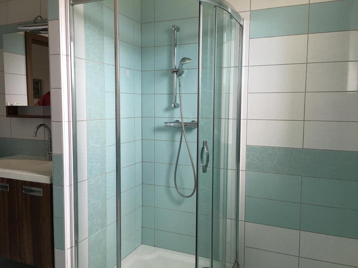 Apartman Krasna Vyhlidka Dolni Benesov エクステリア 写真