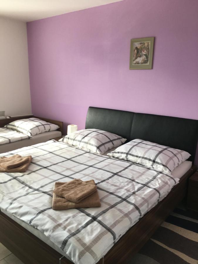 Apartman Krasna Vyhlidka Dolni Benesov エクステリア 写真